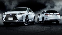 Lexus RX RX300 picture