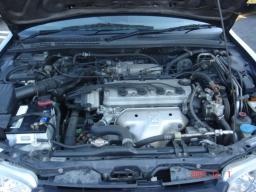 Honda Accord Wagon  picture