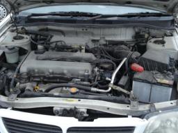 Nissan Bluebird  picture