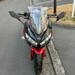 Kawasaki NINJYA 1000 picture
