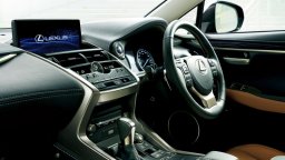 Lexus  NX300h picture