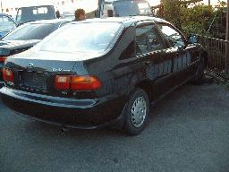 Honda Civic_Ferio MX