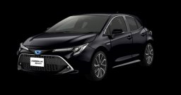 Toyota Corolla HYBRID G picture