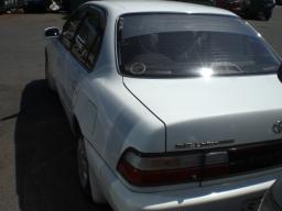 Toyota Corolla SE-LIMITED picture