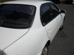 Toyota Corolla SE-LIMITED picture