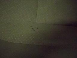 Toyota Prius S Multi picture