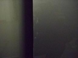 Toyota Prius S Multi picture