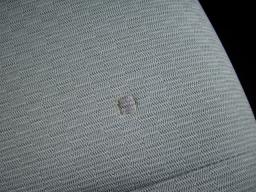 Nissan TIIDA LATIO 15B picture