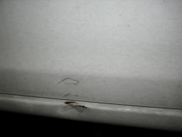 Toyota Funcargo X picture