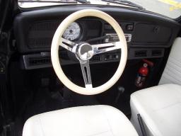 VolksWagen Beetle  picture