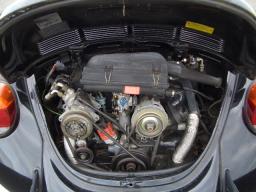 VolksWagen Beetle  picture