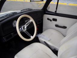 VolksWagen Beetle  picture