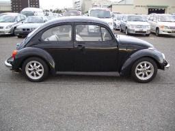 VolksWagen Beetle  picture