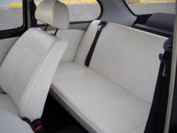 VolksWagen Beetle  picture