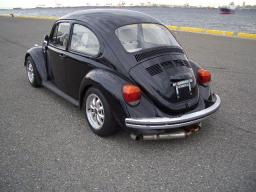 VolksWagen Beetle  picture