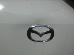 Mazda DEMIO Casual Friend PKG picture