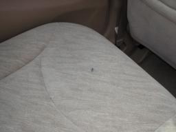 Honda Fit Aria 1.5W picture