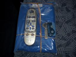 Mitsubishi DELICA STAR WAGON Active World picture