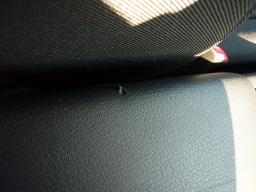 Subaru LEGACY WAGON 2.0I picture