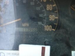 Isuzu NPR BOX TRUCK picture