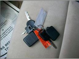 Ford Explorer Eddie Bauer picture