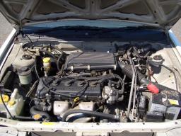 Nissan Sunny SUPER SALOON picture