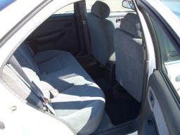 Nissan Sunny SUPER SALOON picture