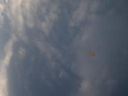 Toyota Town Ace Noah Field Tourer picture