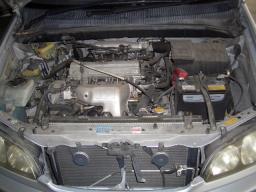 Toyota IPSUM L-SELECTION picture