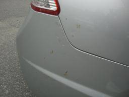 Honda civic 1.8B picture