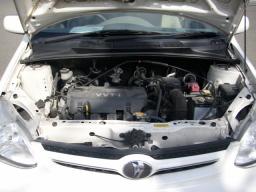 Toyota Platz F picture