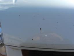 Suzuki KEI A picture