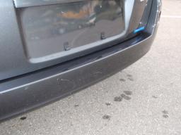 Mazda DEMIO CASUAL picture