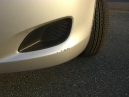 Toyota Belta X picture