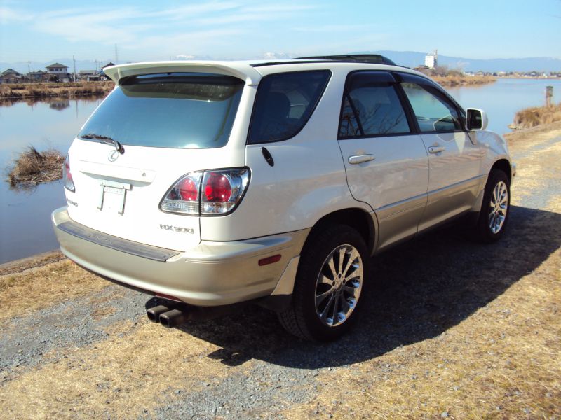 Lexus rx300 2004