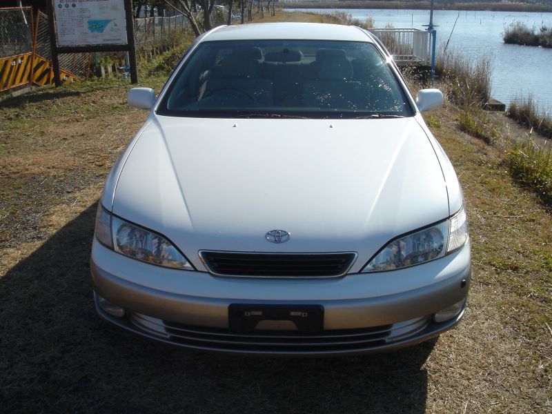Надпись toyota windom