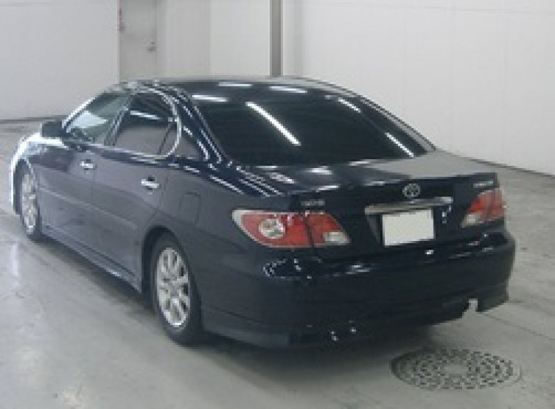 Надпись toyota windom